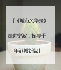 《城市风华录》走进宁波，探寻千年港城新貌