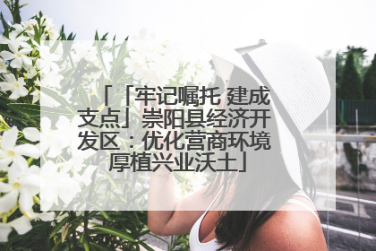 「牢记嘱托 建成支点」崇阳县经济开发区：优化营商环境 厚植兴业沃土
