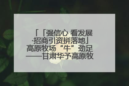 「强信心 看发展·招商引资拼落地」高原牧场“牛”劲足——甘肃华予高原牧场高标准奶牛肉牛养殖项目一线见闻