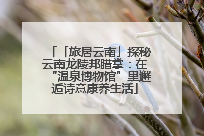 「旅居云南」探秘云南龙陵邦腊掌：在“温泉博物馆”里邂逅诗意康养生活