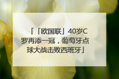 「欧国联」40岁C罗再添一冠，葡萄牙点球大战击败西班牙