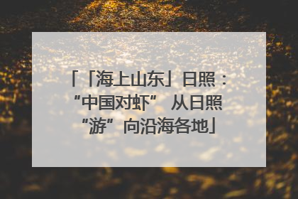 「海上山东」日照：“中国对虾” 从日照“游”向沿海各地