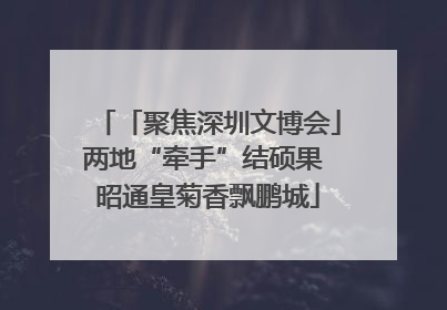 「聚焦深圳文博会」两地“牵手”结硕果 昭通皇菊香飘鹏城