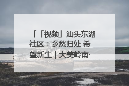 「视频」汕头东湖社区：乡愁归处 希望新生｜大美岭南·百村焕新记