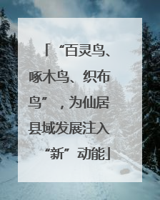 “百灵鸟、啄木鸟、织布鸟”，为仙居县域发展注入“新”动能