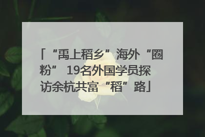 “禹上稻乡”海外“圈粉” 19名外国学员探访余杭共富“稻”路