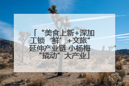 “美食上新+深加工锁‘鲜’+文旅”延伸产业链 小杨梅“撬动”大产业