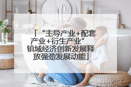 “主导产业+配套产业+衍生产业” 镇域经济创新发展释放强劲发展动能