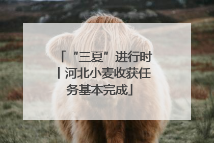 “三夏”进行时丨河北小麦收获任务基本完成