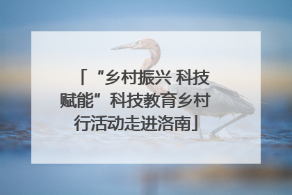 “乡村振兴 科技赋能”科技教育乡村行活动走进洛南