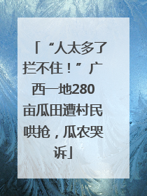 “人太多了拦不住！”广西一地280亩瓜田遭村民哄抢，瓜农哭诉