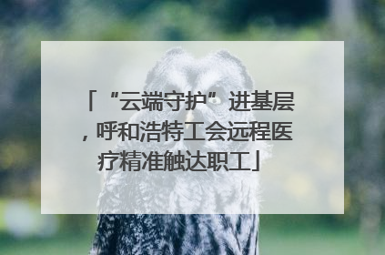 “云端守护”进基层，呼和浩特工会远程医疗精准触达职工