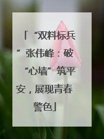 “双料标兵”张伟峰：破“心墙”筑平安，展现青春警色