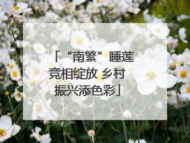 “南繁”睡莲竞相绽放 乡村振兴添色彩