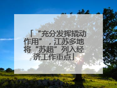 “充分发挥撬动作用”，江苏多地将“苏超”列入经济工作重点