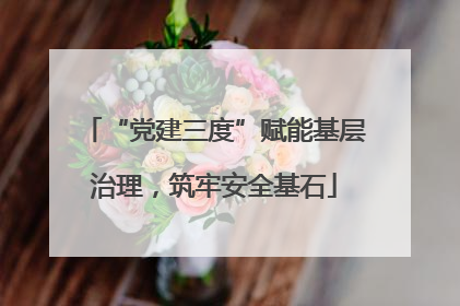 “党建三度”赋能基层治理，筑牢安全基石
