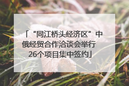 “同江桥头经济区”中俄经贸合作洽谈会举行 26个项目集中签约