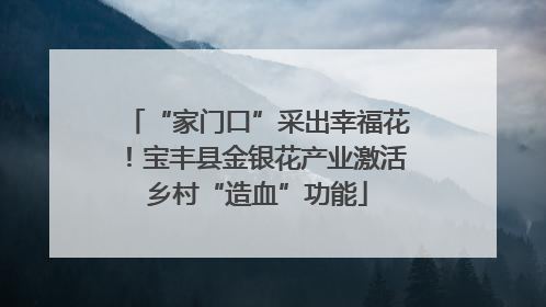 “家门口”采出幸福花！宝丰县金银花产业激活乡村“造血”功能