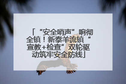 “安全哨声”响彻全镇！新泰羊流镇“宣教+检查”双轮驱动筑牢安全防线