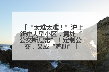 “太难太难！”沪上新建大型小区，竟处“公交断层带”！定制公交，又成“鸡肋”