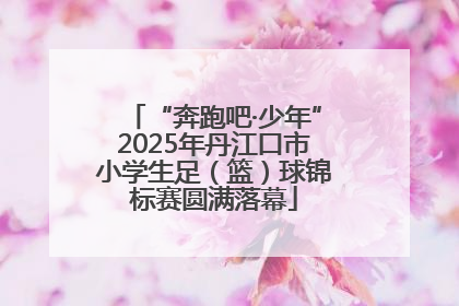 “奔跑吧·少年”2025年丹江口市小学生足（篮）球锦标赛圆满落幕