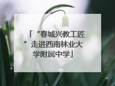 “春城兴教工匠”走进西南林业大学附属中学
