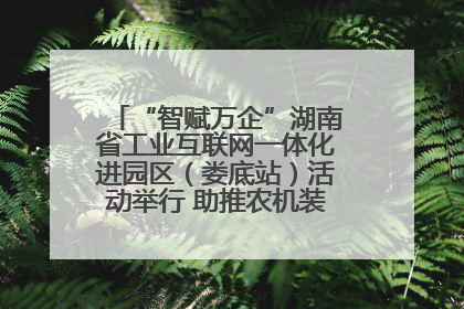 “智赋万企”湖南省工业互联网一体化进园区（娄底站）活动举行 助推农机装备产业高质量发展