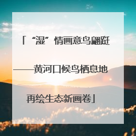 “湿”情画意鸟翩跹——黄河口候鸟栖息地再绘生态新画卷