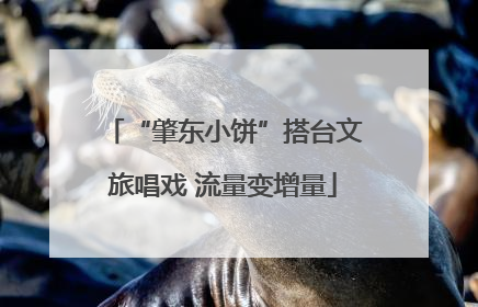 “肇东小饼”搭台文旅唱戏 流量变增量
