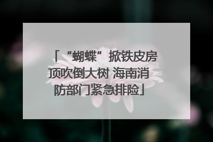 “蝴蝶”掀铁皮房顶吹倒大树 海南消防部门紧急排险