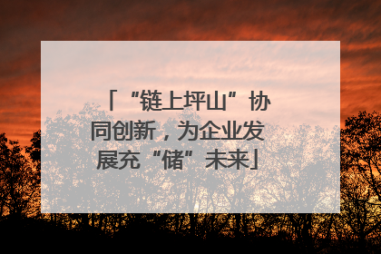 “链上坪山”协同创新，为企业发展充“储”未来