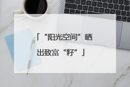 “阳光空间”晒出致富“籽”