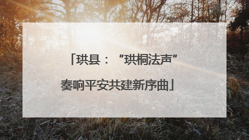 珙县：“珙桐法声”奏响平安共建新序曲