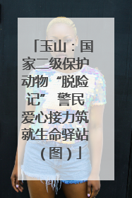 玉山：国家二级保护动物“脱险记” 警民爱心接力筑就生命驿站（图）