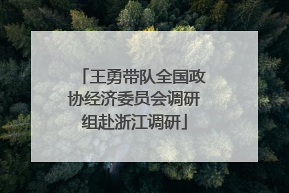 王勇带队全国政协经济委员会调研组赴浙江调研