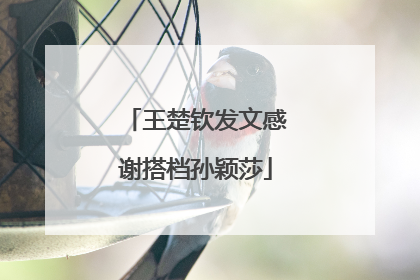 王楚钦发文感谢搭档孙颖莎