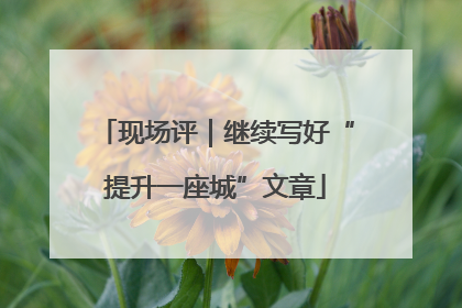 现场评｜继续写好“提升一座城”文章
