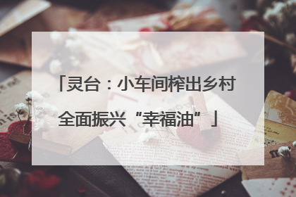 灵台：小车间榨出乡村全面振兴“幸福油”