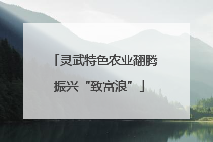 灵武特色农业翻腾振兴“致富浪”