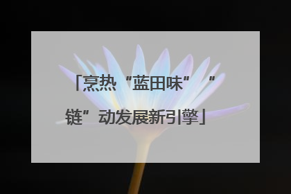 烹热“蓝田味”“链”动发展新引擎