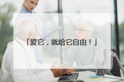 爱它，就给它自由！