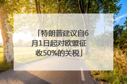 特朗普建议自6月1日起对欧盟征收50%的关税
