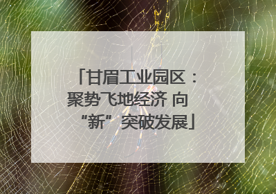 甘眉工业园区：聚势飞地经济 向“新”突破发展