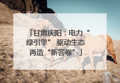 甘肃庆阳：电力“绿引擎” 驱动生态再造“新答卷”