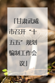 甘肃武威市召开“十五五”规划编制工作会议