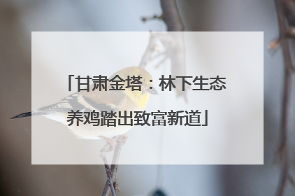 甘肃金塔：林下生态养鸡踏出致富新道