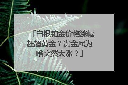 白银铂金价格涨幅赶超黄金？贵金属为啥突然大涨？