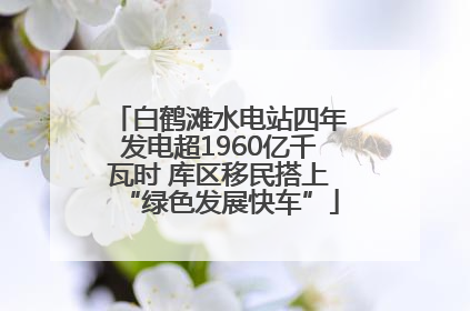 白鹤滩水电站四年发电超1960亿千瓦时 库区移民搭上“绿色发展快车”