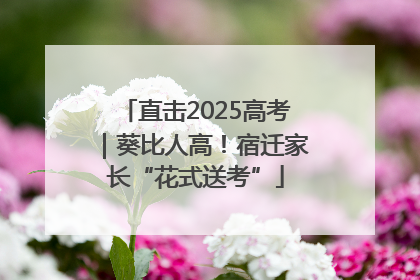 直击2025高考｜葵比人高！宿迁家长“花式送考”