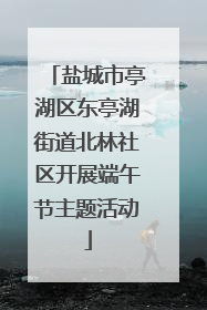 盐城市亭湖区东亭湖街道北林社区开展端午节主题活动